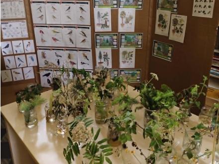Poznáváme přírodu