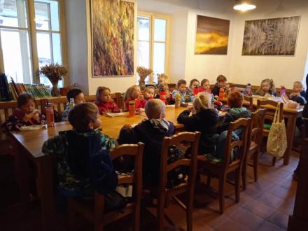 Ptáčkové v Domě přírody Žďárských vrchů v Krátké