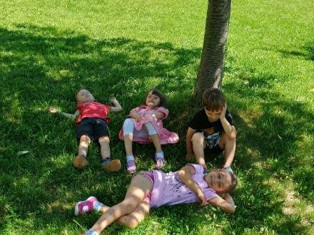 Naše zahrada