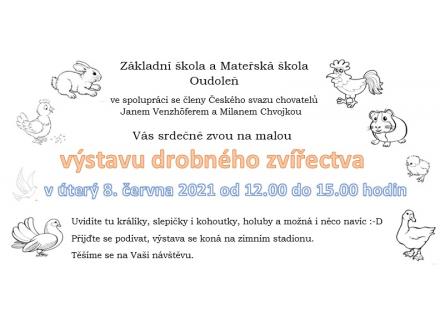 Výstava drobného zvířectva